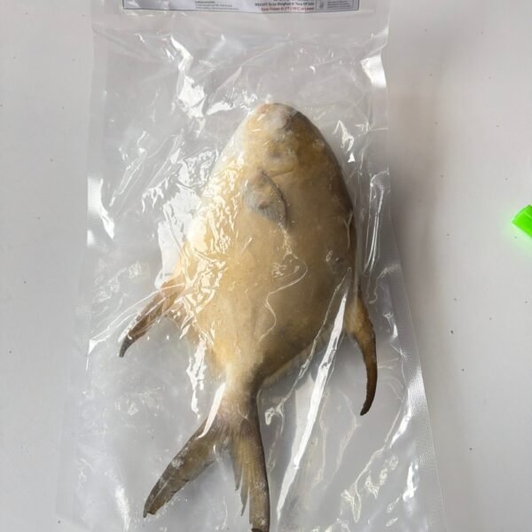 GOLDEN POMPANO WR IQF