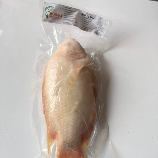 TILAPIA RED WGS IQF